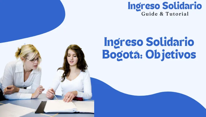 Ingreso Solidario Bogotá: Objetivos